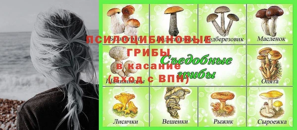 PSILOCYBIN Абаза